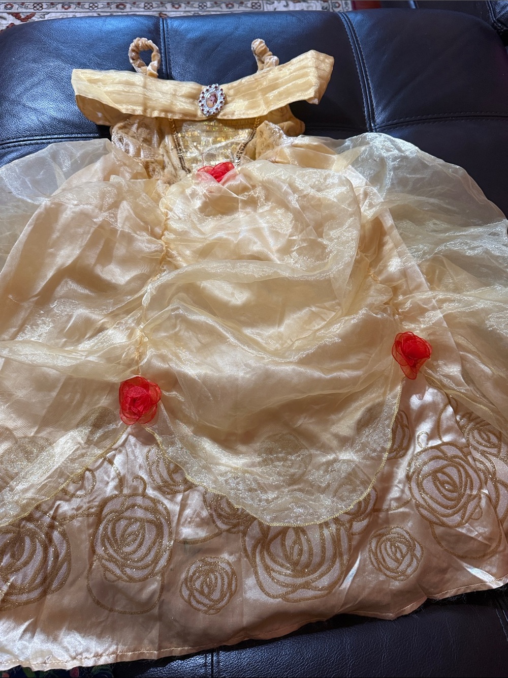 Gold Princess Ball Gown Kids Costume with Red Rose Accents